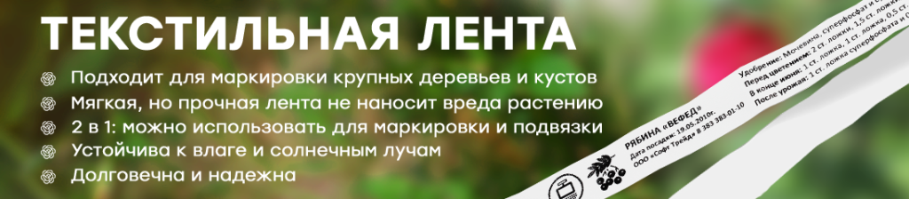 текстильная лента 100724.png